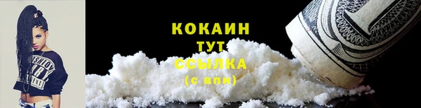 винт Карпинск